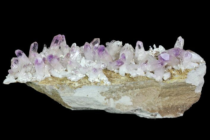 Amethyst Cluster - Las Vigas, Mexico #84398